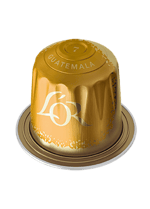 capsule guatamala 02 495x692