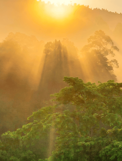 LORSUST23 Sunrise 913x1200