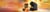 JDE 15935 Pumpkin globus 970 x 250