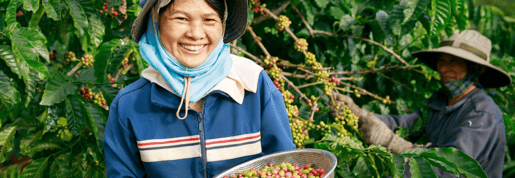 sustainability header 1