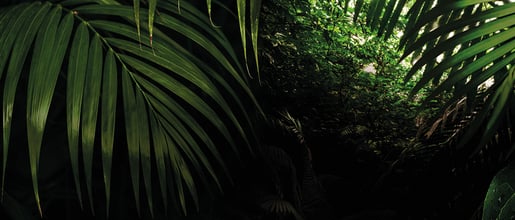 banner hero def origins